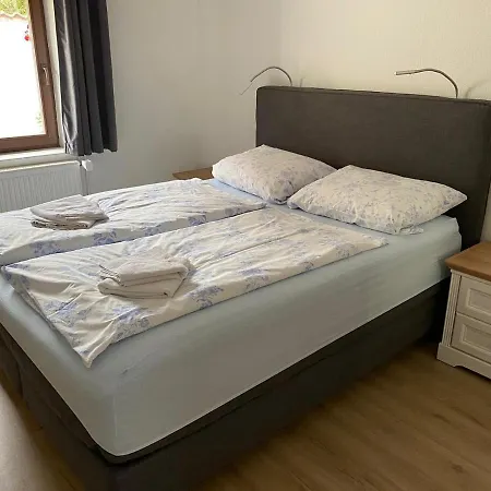 Treibholz * Wustrow (Fischland)